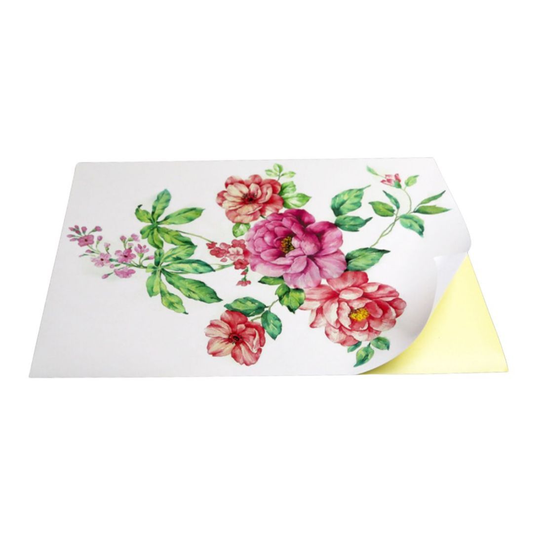 Self-adhesive A4 Size Repositionable Poster