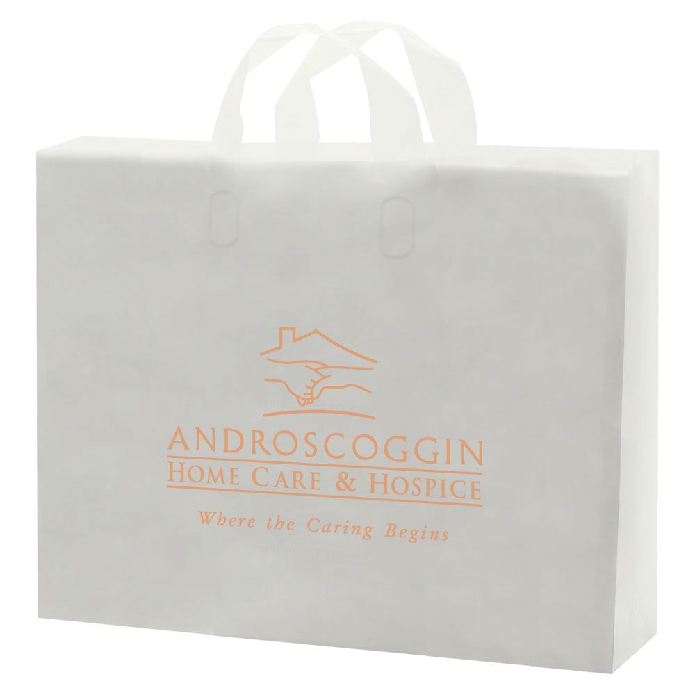 Frosted Soft Loop Handle Bags - 14 x 10 x 13 inch