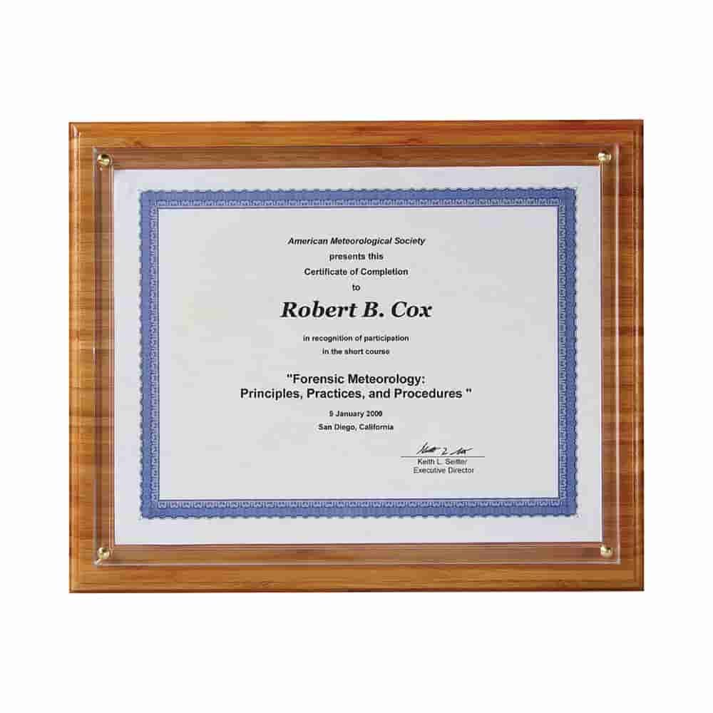 Renewable Bamboo Insta-Plaque