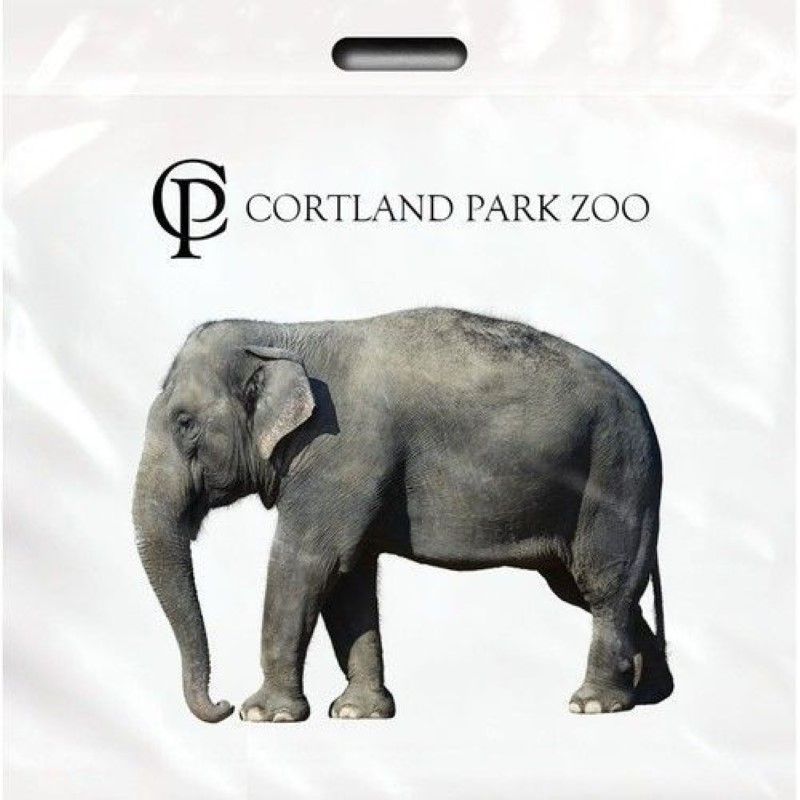 Custom Large Plastic Die Cut Bag - 20