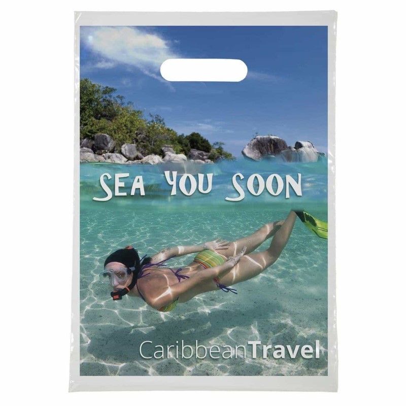 Full Color Die Cut Handle Plastic Bag - 9