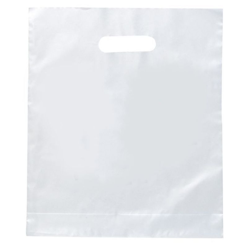 Custom Plastic Merchandise Bag - 14