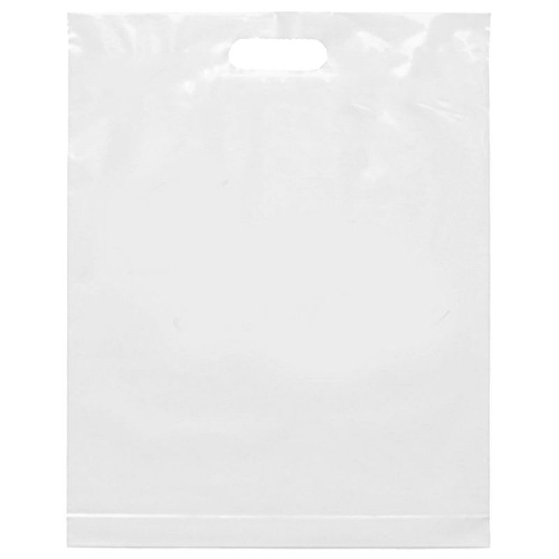 Custom Plastic Merchandise Bag - 15.5