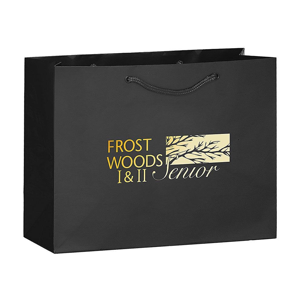 Gloss Laminated Paper Tote Bag - 17