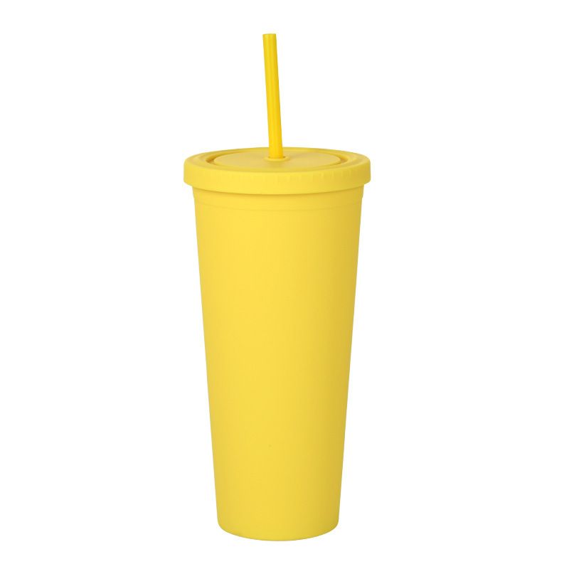 24 oz Double-Layer Frosted Plastic Straw Cup