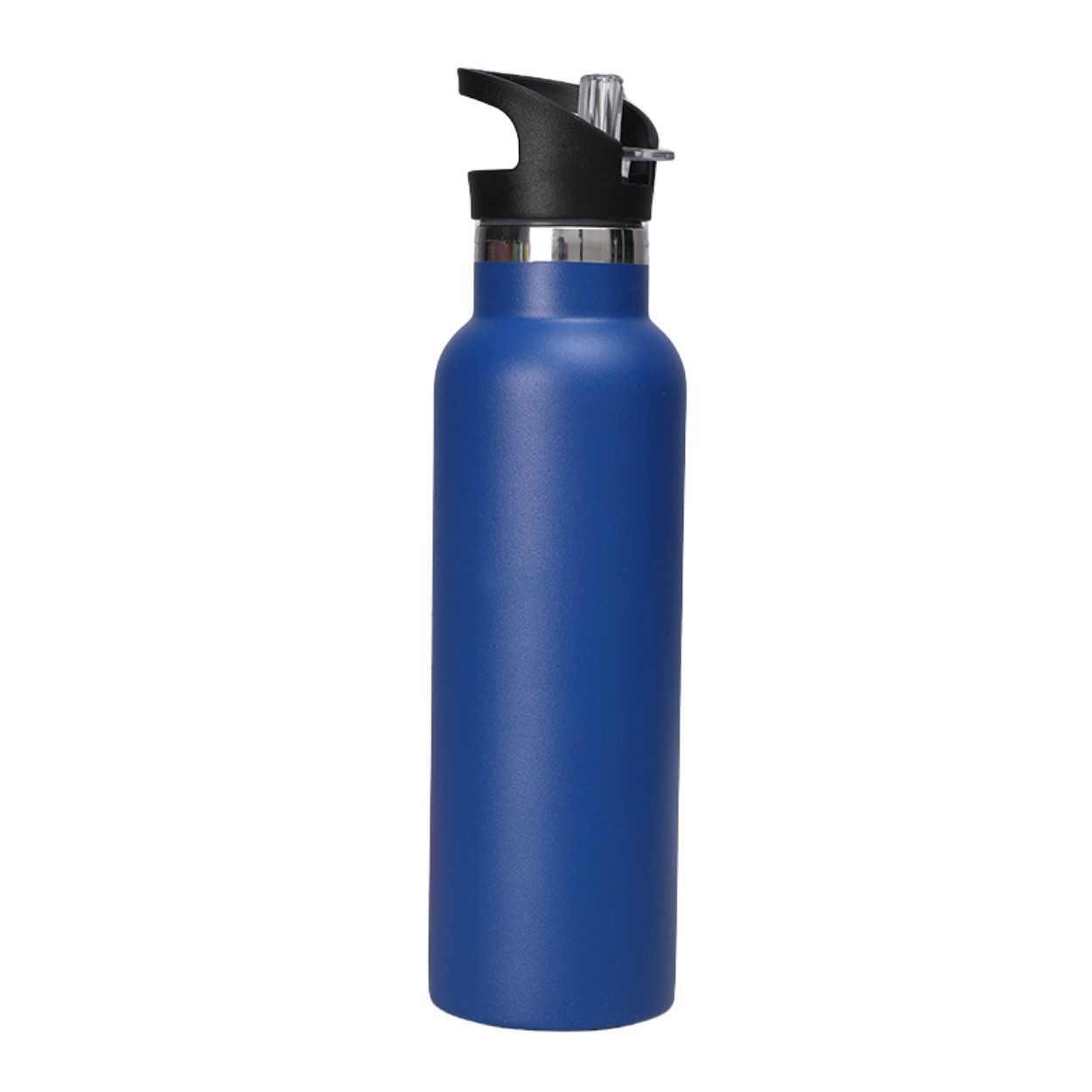 20 oz Stainless Steel Double-Wall Insulated Bottle w/ Straw Lid