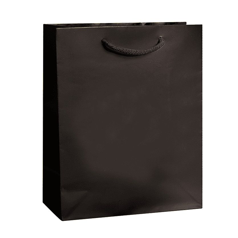 Custom Glossy Paper Euro Tote Bag - 9.5