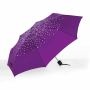 DarkViolet