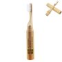 Bamboo